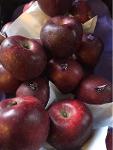 Fresh STARKING APPLES FIRST QUALITY 
