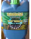 BRİDGE-Pure Algae
