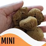 Mini Silk Sea Sponge