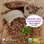 ORGANIC RAW CACAO BEANS