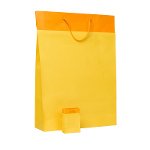 Paper Bag Yellow Plasticized Bag With Drawstring
