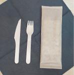 A set of 160 mm fork and 160 mm knife in a paper package
