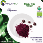 Organic Acai Freeze-Dried Powder