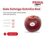Gala Schniga SchniCo Red Apples