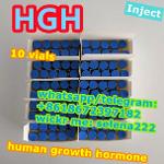 HGH Body building human growth injection grade China supply
