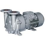 Classic Liquid Ring Vacuum Pumps and Compressors