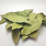 Laurel Leaves, Bay Leaf, Laurus Nobilis
