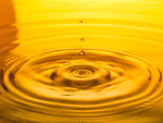 Organic crude sunflower oil, lonoleic