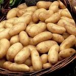 Potatoes Agata 15 KG