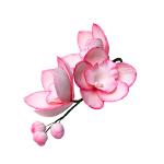 Confectionery Sugar Decoration “orchid Twig № 1 Tinted Pink” 