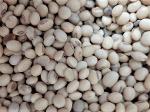 Organic/bio Soy Beans