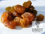 Raisins | Dried Grapes | Turkish sultanas