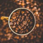 Is coffee bean an actual bean?