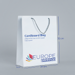 Cardboard Bag ( 25*37*8)