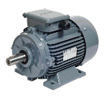 Spare Part Electric Motor