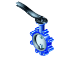 butterfly valve with worm gear