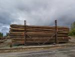 Impregnated wooden poles