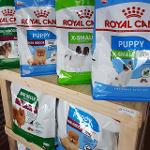 Royal Canin Fit 32 Dry Cats Foods