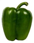 bell pepper green 10 KG 80/100