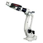 Articulated robot - BX250L