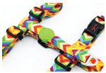 H-Type Harness Rainbow