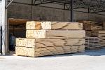 Primary Wood Processing