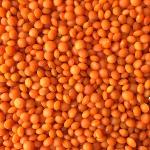 Red lentils 