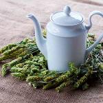 Organic Greek Mountain Tea - Sideritis Scardica 