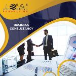 Business Consultancy