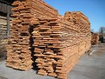 Unedged Beech lumber
