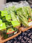  Plastic fresh vegetable packaging bag with slider