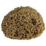 Wholesale Natural Skincare.  Honeycomb Natural Sea Sponge.