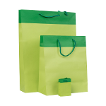 Paper Bag Matt Laminated Vegetable-green With String