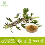 Motherwort Herb Extract Powder