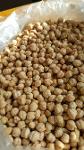 Great quality chickpeas in bulk