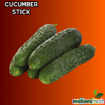 Cucumber Stick