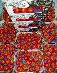 RED VINE TOMATOES