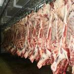 Pork Meat / Pork Carcass 6 Way Cut / Pork Feet
