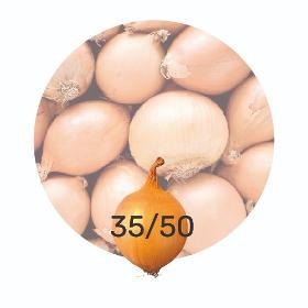Onions 35/50