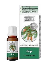 Pine Essential Oil - Pinus Sylvestris - 10 ml