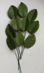Rose Leaf L = 30 Mm Tinted (10 Pieces) 50 Units