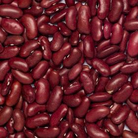Beans red kidney org