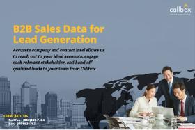 B2B Sales Data for Lead Generation
