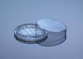 Rodak Petri Dish