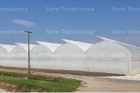 Modular greenhouse