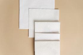 Economy napkins