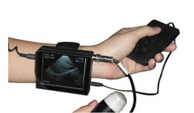 Veterinary wrist ultrasound scanner for pig/sheep/goat