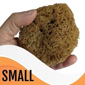 Small Grass Sea Sponge