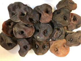 Dried Pig Snouts 