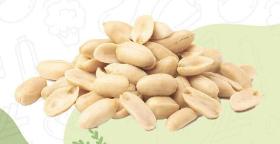 Peeled Peanut